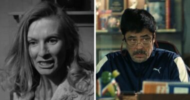 More Than A Sidekick: 7 Supporting Performances That Stole The Show