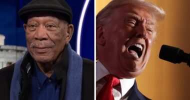 Morgan Freeman’s Scathing Comments About Trump Bring His Felonies Back Into The Spotlight