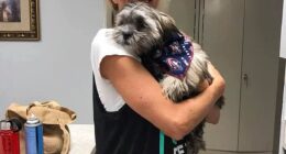 Hannah Larsen, the wife of NHL coach Brad Larsen, tragically died from cancer more than a year after Brad's decision to take leave from the Calgary Flames amid her worsening condition