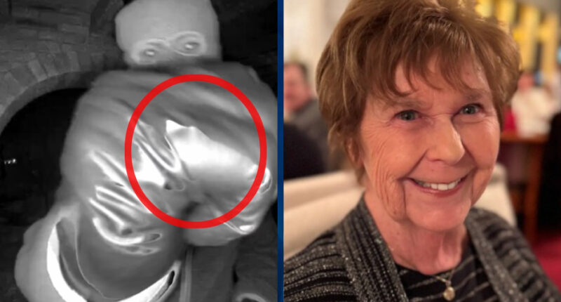 Nancy Guthrie: Glove Found in Search for Missing 84-Year-Old Has ‘Nothing to Do With the Case’