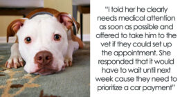 Neglectful Owner Leaves Sick Dog With Daughter, Refuses To Come Back When It Needs Medical Help