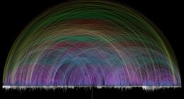 New Bible analysis uncovers 63,000 clues cited as evidence God wrote the Holy Book