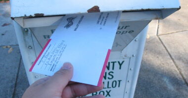 New York Post Reveals How Migrants Are Voting in U.S. Elections.