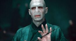 A new frontrunner favourite to play Lord Voledmort in the new Harry Potter TV series