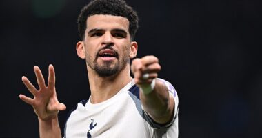 Dominic Solanke is emerging as a potential transfer target for Newcastle this summer