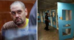 Nick Reiner’s Account Raises Alarming Questions With Disturbing Talk And Breaking Point Signs