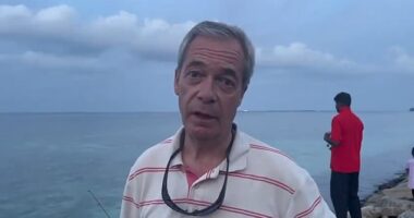Reform UK leader Nigel Farage attempted to reach the Chagos islands himself last month