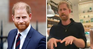 “Not Normal Behavior”: Prince Harry’s Hand Movements Spark Concern After Emotional Meeting