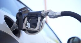 Oil Prices Surge Then Plunge Amid Optimism Over U.S.-Israel War With Iran Nearing End – RedState