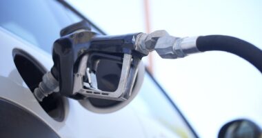 Oil Prices Surge Then Plunge Amid Optimism Over U.S.-Israel War With Iran Nearing End – RedState