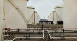 Oil futures lose more than 11%, with energy ministers poised to consider release of emergency crude reserves