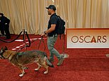 Oscars 2026 live updates: Academy Awards boosts security amid Iran retaliation threat as stars prepare to hit the red carpet