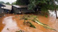 A view of a storm-damaged home near floating felled branches in flood waters caused by severe rains in Waialua