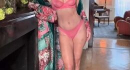 Paulina Porizkova stripped off and wore a pink lingerie in her latest Instagram post