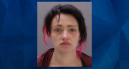 Pennsylvania Mom Slams Young Son Into Walmart Shopping Cart, Giving Him Concussion