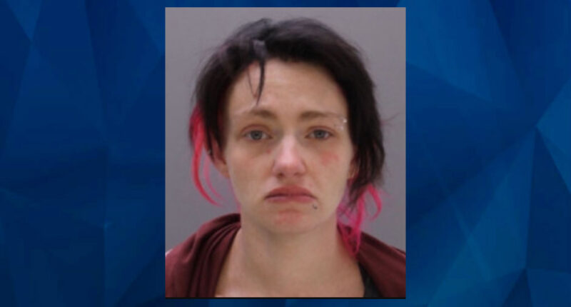 Pennsylvania Mom Slams Young Son Into Walmart Shopping Cart, Giving Him Concussion