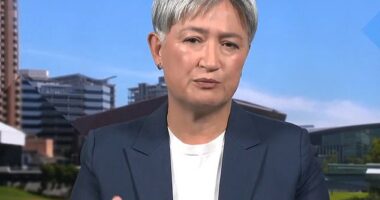 Penny Wong (pictured) said Australians had been 'moved' by the Iranian football protest