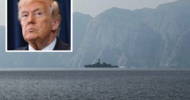 Pentagon says US sunk 16 mine-laying ships after Trump threatens Iran over reports of mines in the Strait of Hormuz