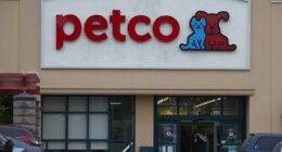 Petco is leaning on services, fresh food and pet tarantulas — and it is paying off
