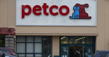 Petco is leaning on services, fresh food and pet tarantulas — and it is paying off