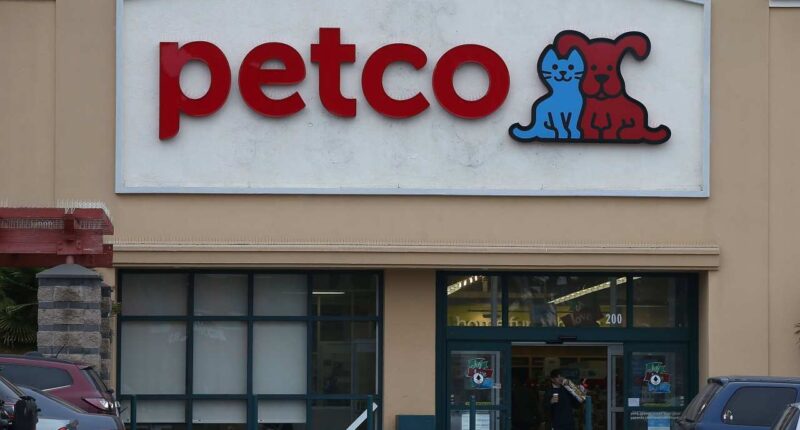 Petco is leaning on services, fresh food and pet tarantulas — and it is paying off
