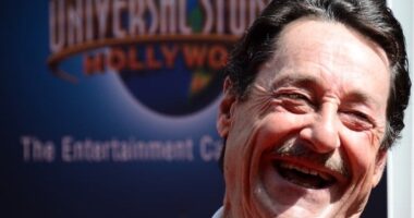 Peter Cullen Net Worth | Celebrity Net Worth