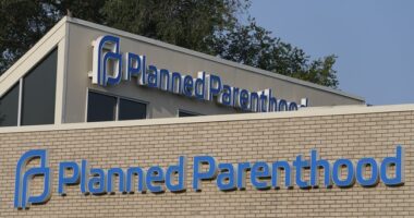 Planned Parenthood of Illinois Settles DEI Lawsuit – HotAir