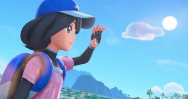 Pokémon Winds & Waves Leaked Combat Confirms What We All Hoped For