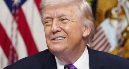 President Donald Trump made numerous film appearances before assuming office