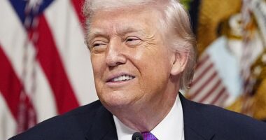 President Donald Trump made numerous film appearances before assuming office