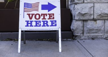 Primary Season Gives Conservatives The Chance To Oust RINOs