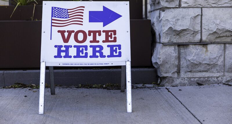 Primary Season Gives Conservatives The Chance To Oust RINOs