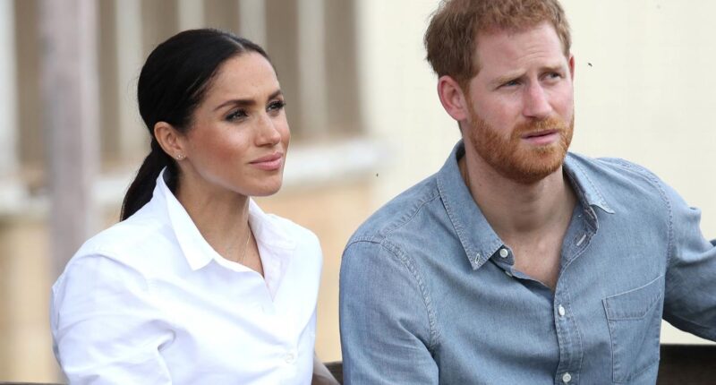 Prince Harry, Meghan Markle slam 'disgusting' allegations in new book