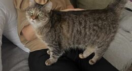 Bestselling author Jane Fallon has given fans a 'little update' on her breast cancer diagnosis, revealing she has undergone surgery