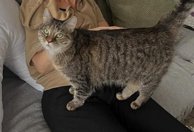 Bestselling author Jane Fallon has given fans a 'little update' on her breast cancer diagnosis, revealing she has undergone surgery