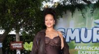 Rihanna flees LA after alleged mansion shooter is arrested