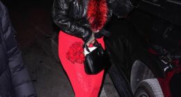 Rihanna, 38, was seen flying the coop on Monday after the shocking rifle attack on her Beverly Hills mansion; she's pictured on February 14 in NYC