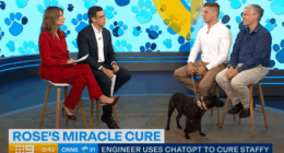 Rose the dog might have just heralded the age of programmable medicine — and here are the stocks that benefit