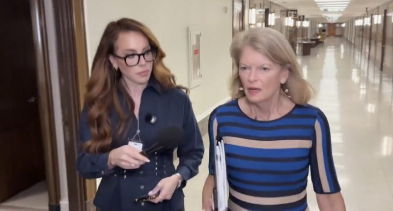 SAVE Act Will Pass Only If There Are Consequences For Opposing It