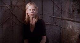 Sarah Michele Gellar Reveals the Real Reason Behind the Buffy Reboot's Cancellation