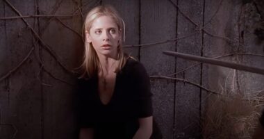 Sarah Michele Gellar Reveals the Real Reason Behind the Buffy Reboot's Cancellation
