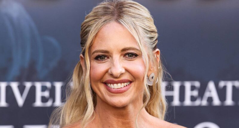 Sarah Michelle Gellar Officially Joins First New Project After Buffy The Vampire Slayer Sequel's Abrupt Cancellation