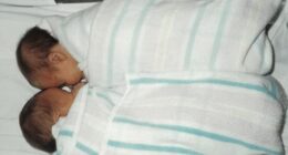 Sasha and her twin sister (above) were implanted in the wrong mother as IVF embryos