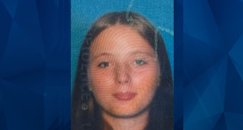 Search Underway for Teen Girl Who Possibly Vanished in Middle of Night
