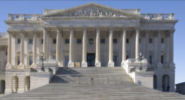 Senator Pushes Taxpayer Spending Transparency as Part of Anti-Somali Fraud Drive.