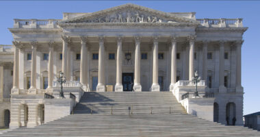 Senator Pushes Taxpayer Spending Transparency as Part of Anti-Somali Fraud Drive.