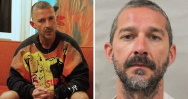 Shia LaBeouf Breaks Silence On Mardi Gras Arrest, Reveals Dark Details About His Mental Health