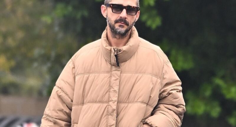 Shia LaBeouf arrested again in New Orleans on battery charge: report