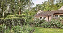 Milli’s border garden six months in, featuring her favourite north-facing-tolerant rose, Olivia Rose Austin.