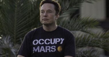 SpaceX’s stock could trade like Tesla ‘on steroids’ after IPO, analyst says